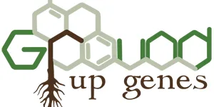 groundupgenes