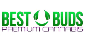 bestbudsbff.com_