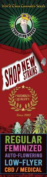 Crop King Seeds (COM) - Shop New Strains World Class Cannabis Seeds 160x600