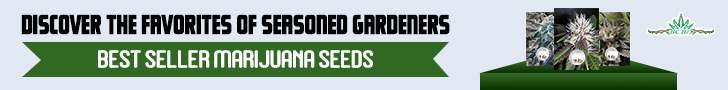 BC Bud Depot Best Seller Marijuana Seeds (728x90)