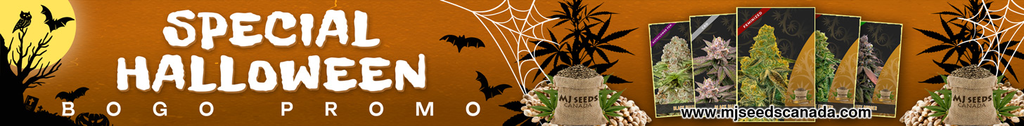 MJ Seeds Canada COM Halloween Sale (90x728)