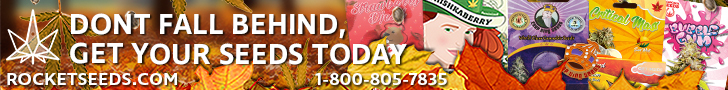 Rocket Seeds - Don't Fall Behind Get Your Seeds Today 728x90