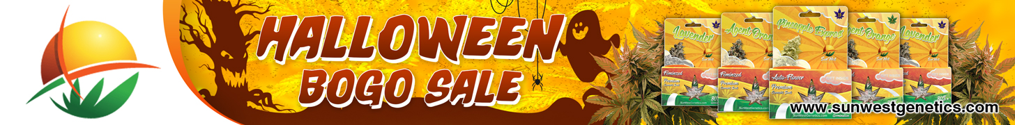Sun West Genetics Halloween Sale (90x728)