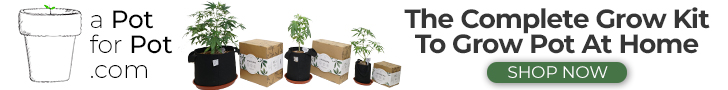 a Pot for Pot – complete grow kit to grow at home